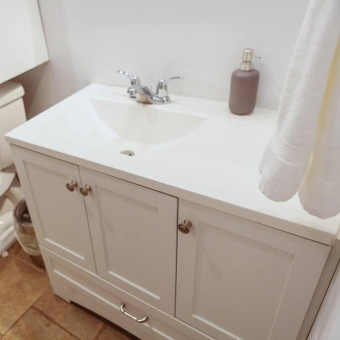 Large Upstairs Flat In Downtown Century Building Apartment Belleville Luaran gambar